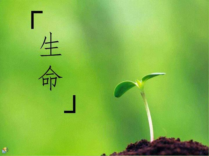 生命远比情绪要来的广阔。-玄外之音