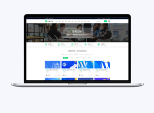 总裁主题 ceoedu-pro 破解版-玄外之音
