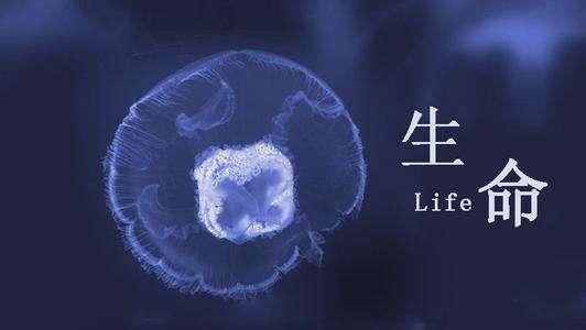 自杀也是会被传染的-玄外之音